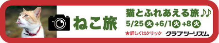 2021-5ねこ旅-.jpg