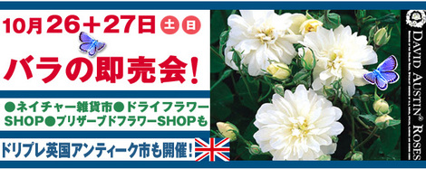 バラ&10月バザール市+.jpg