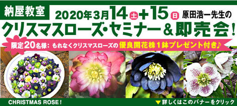 原田さん2020.jpg