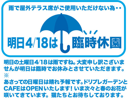 雨の日20-4-18.jpg