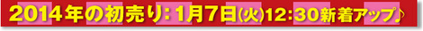 _2014年初売り.jpg