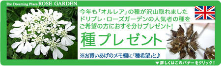tane--netshop-18-8-22.jpg